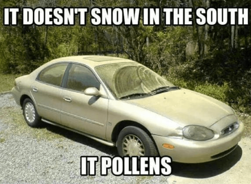 doesnt-snow-south-pollens