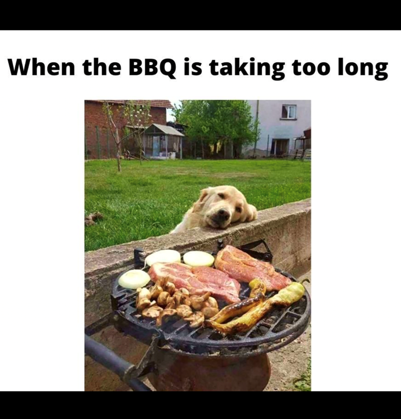 bbq-is-taking-too-long