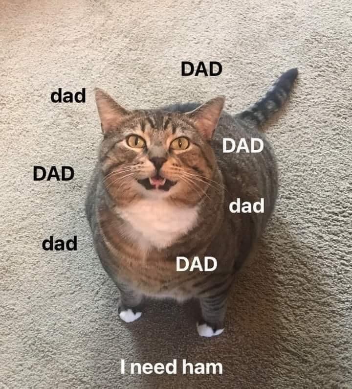 dad-dad-dad-dad-dad-dad-need-ham-dad