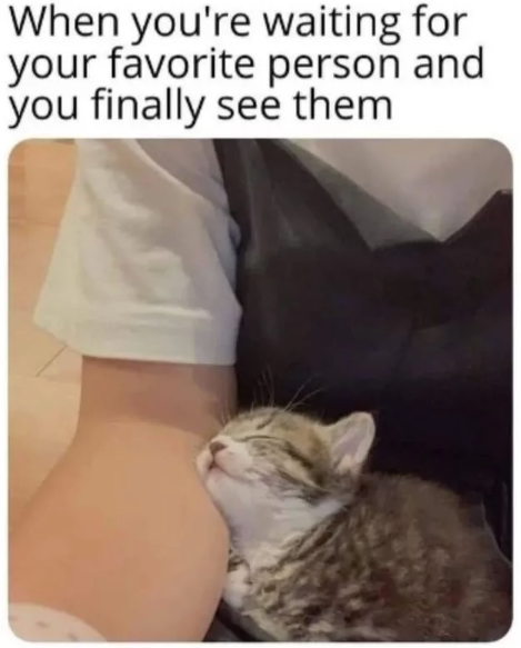 waiting-favorite-person-and-finally-see-them