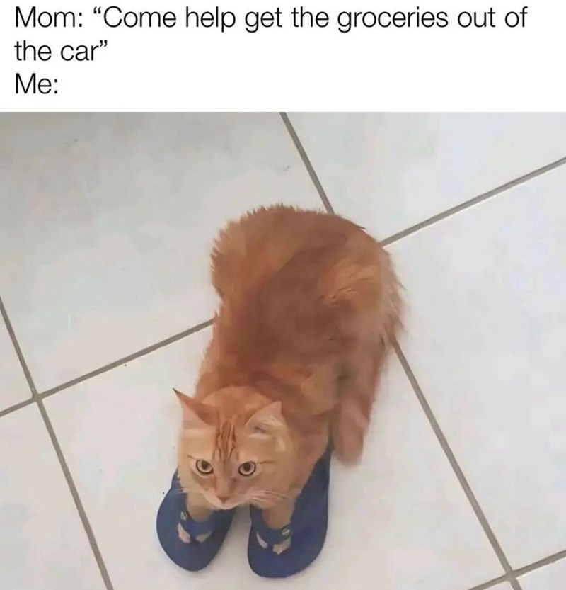 mom-come-help-get-groceries-out-car