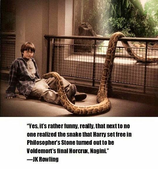 nagini-boa.jpg