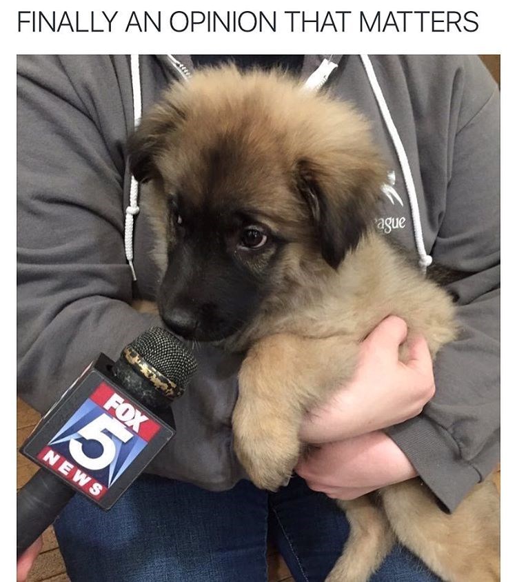 finally-an-opinion-matters-fox-5-news-ague