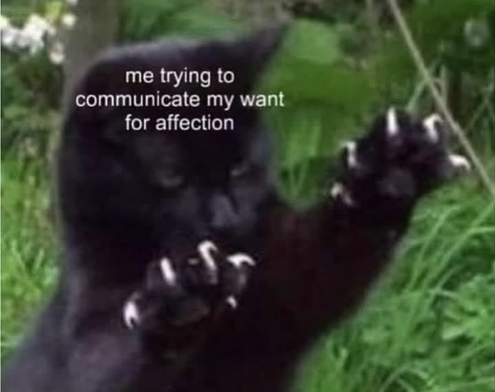 trying-communicate-my-want-affection