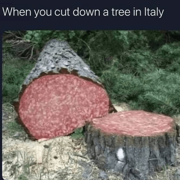 cut-down-tree-italy-officialagnew