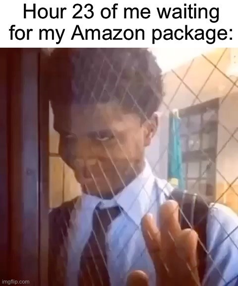hour-23-waiting-my-amazon-package-imgflipcom