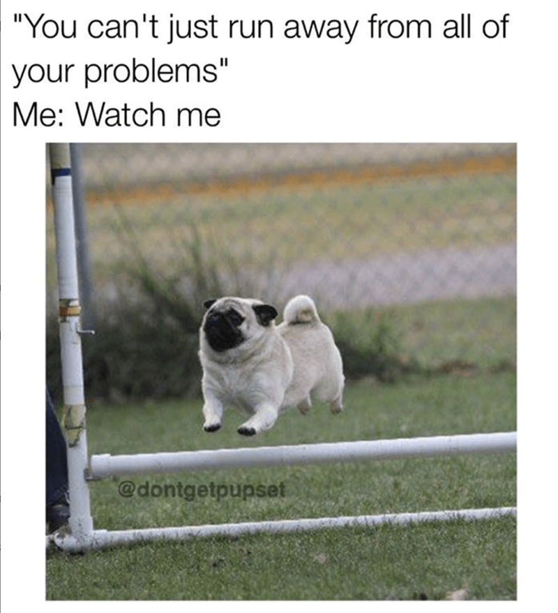cant-just-run-away-all-problems-watch-dontgetpupset