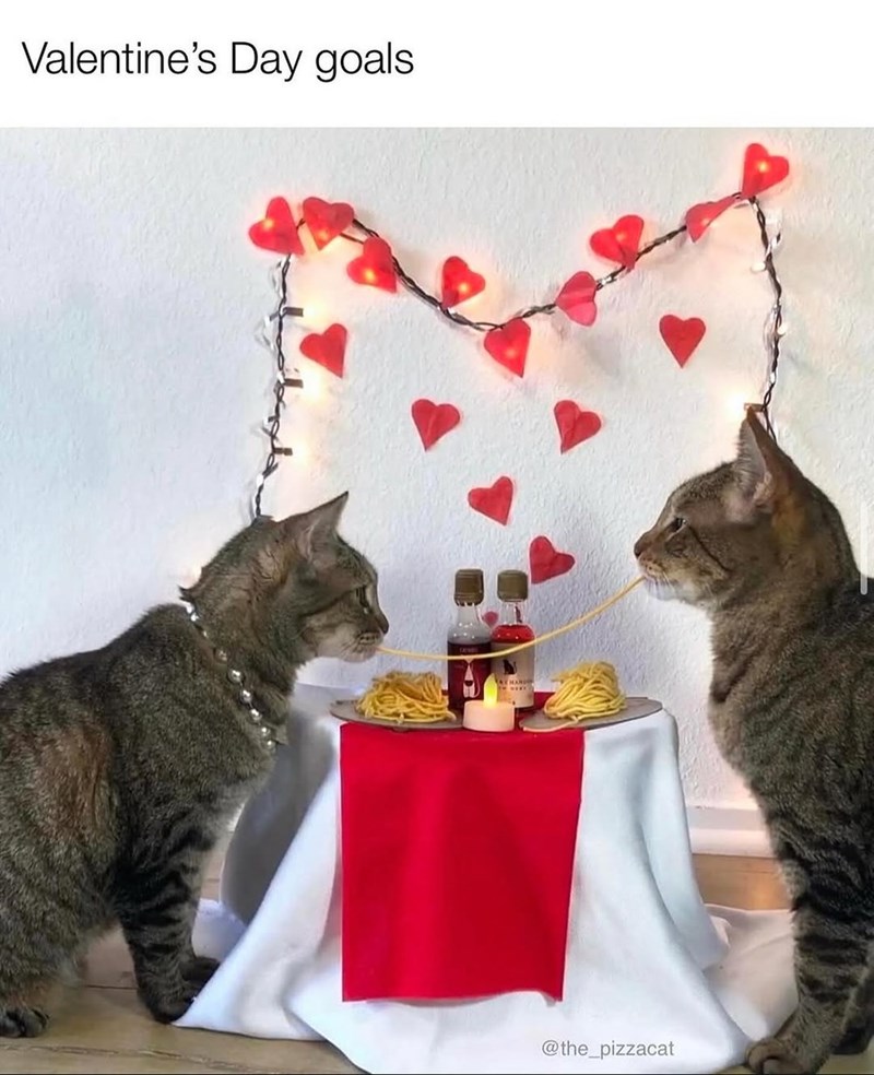 valentines-day-goals-the_pizzacat