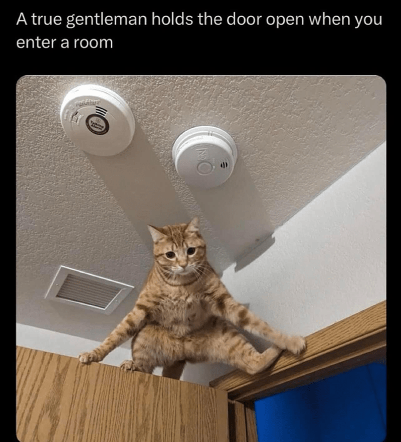 true-gentleman-holds-door-open-enter-room