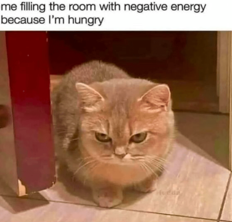 filling-room-with-negative-energy-because-hungry