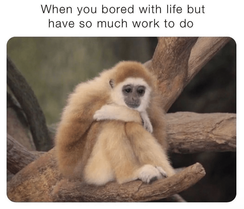 bored-with-life-but-have-so-much-work-do