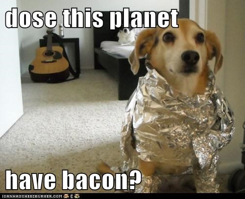 dose-this-planet-have-bacon