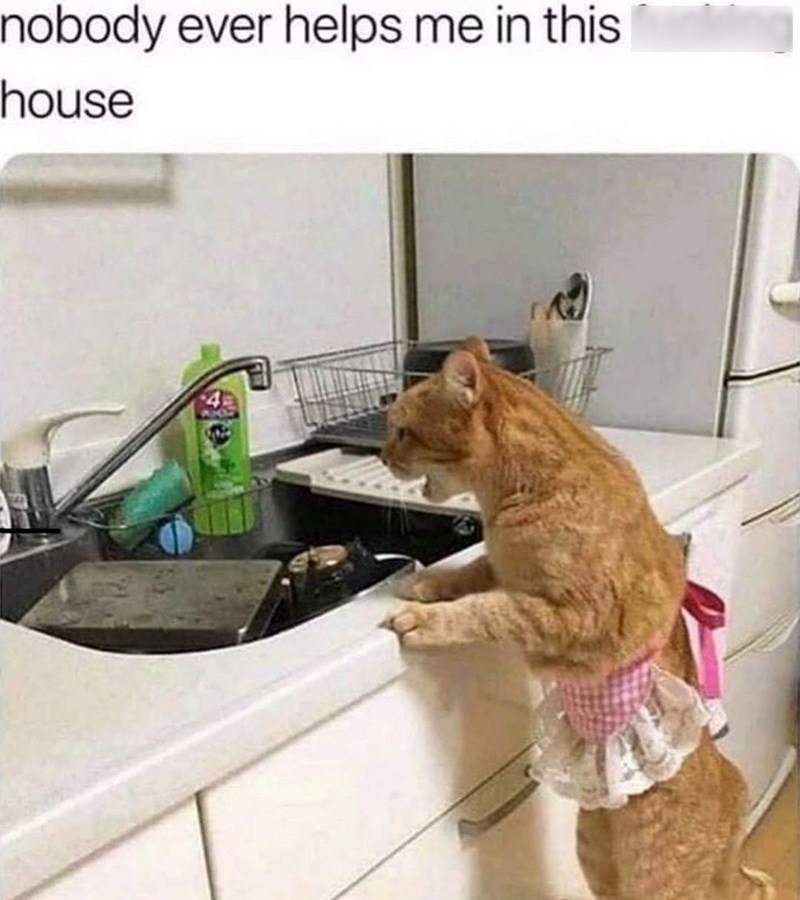 nobody-ever-helps-this-house-4