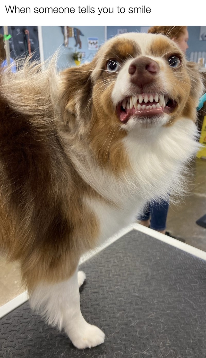 someone-tells-smile-137