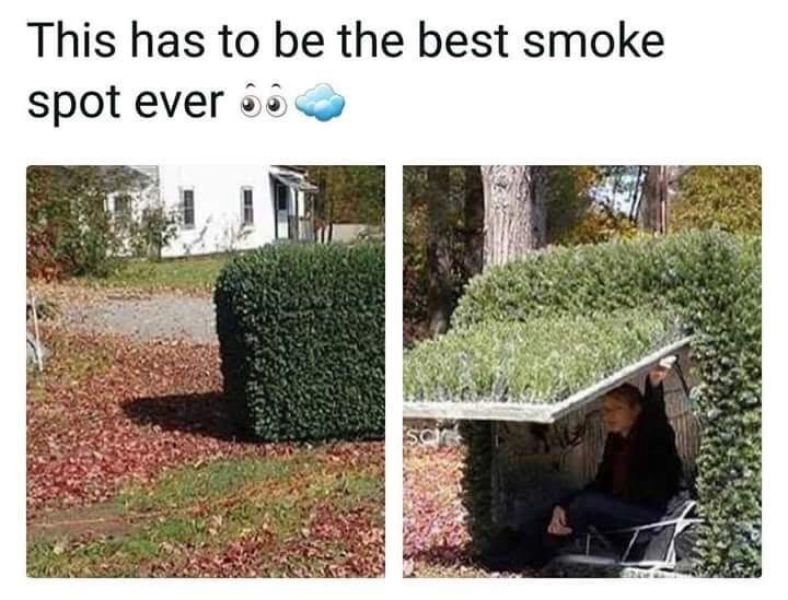 this-has-be-best-smoke-spot-ever-66