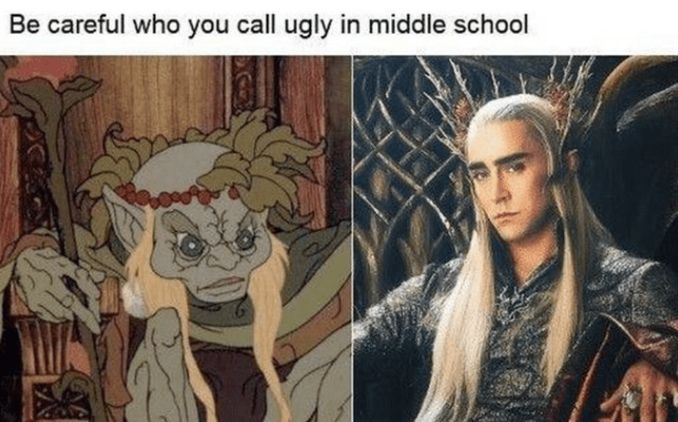 be-careful-who-call-ugly-middle-school