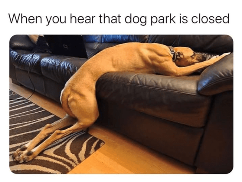 hear-dog-park-is-closed