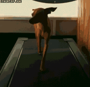 how-do-you-think-i-stay-this-fit