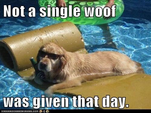 not-a-single-woof-was-given-that-day