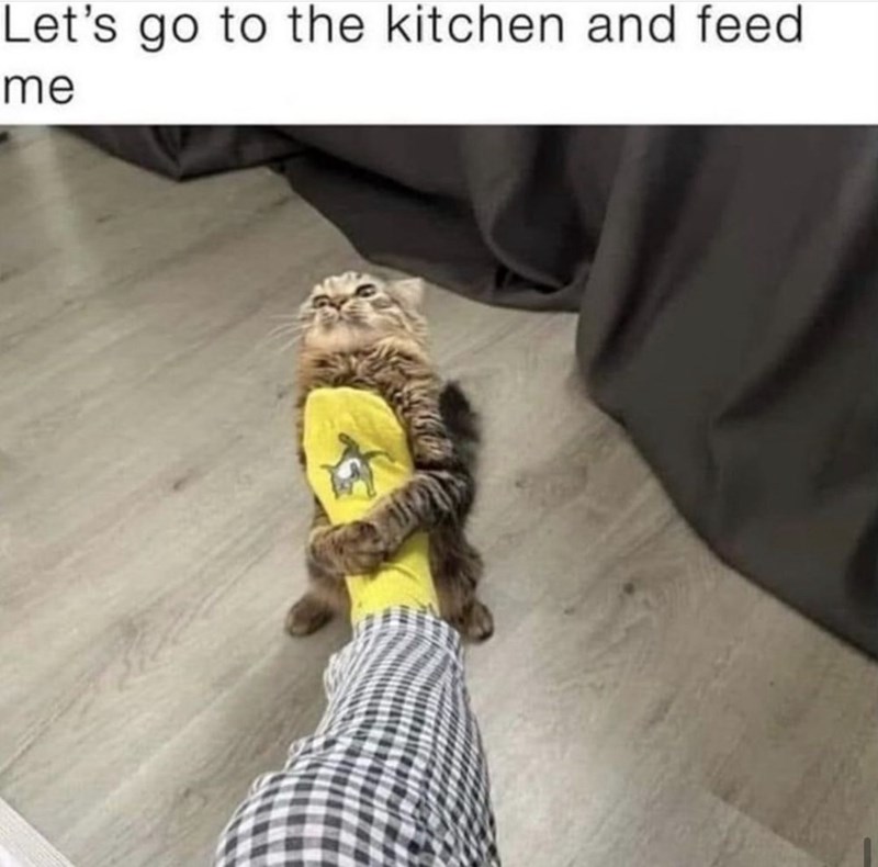 lets-go-kitchen-and-feed