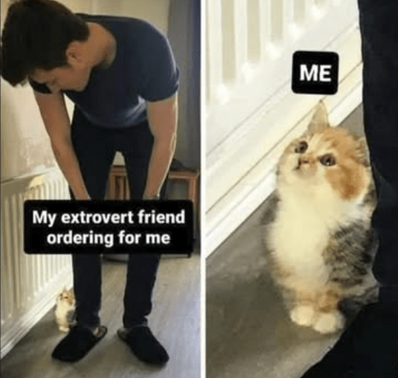 my-extrovert-friend-ordering
