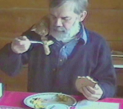 hes-so-cute-the-kittens-cute-too