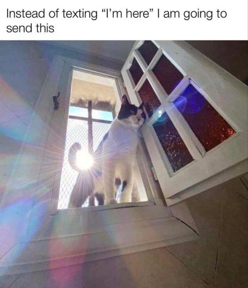 instead-texting-here-am-going-send-this