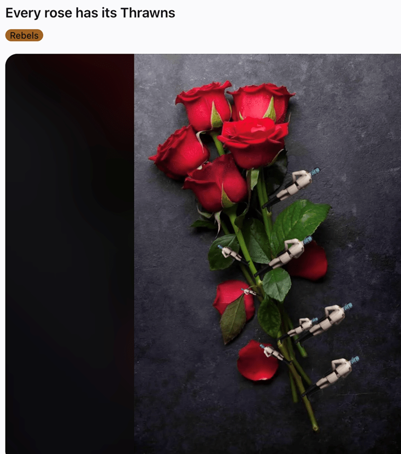 every-rose-has-its-thrawns-rebels