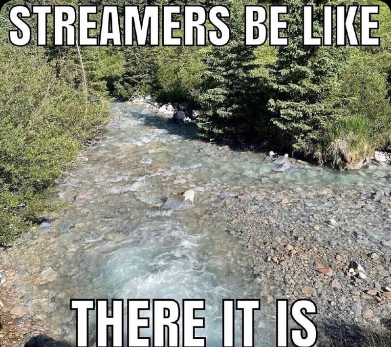 streamers-be-like-there-is