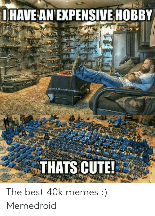 have-an-expensive-hobby-thats-cute-the-best-40k-memes-49352114.png