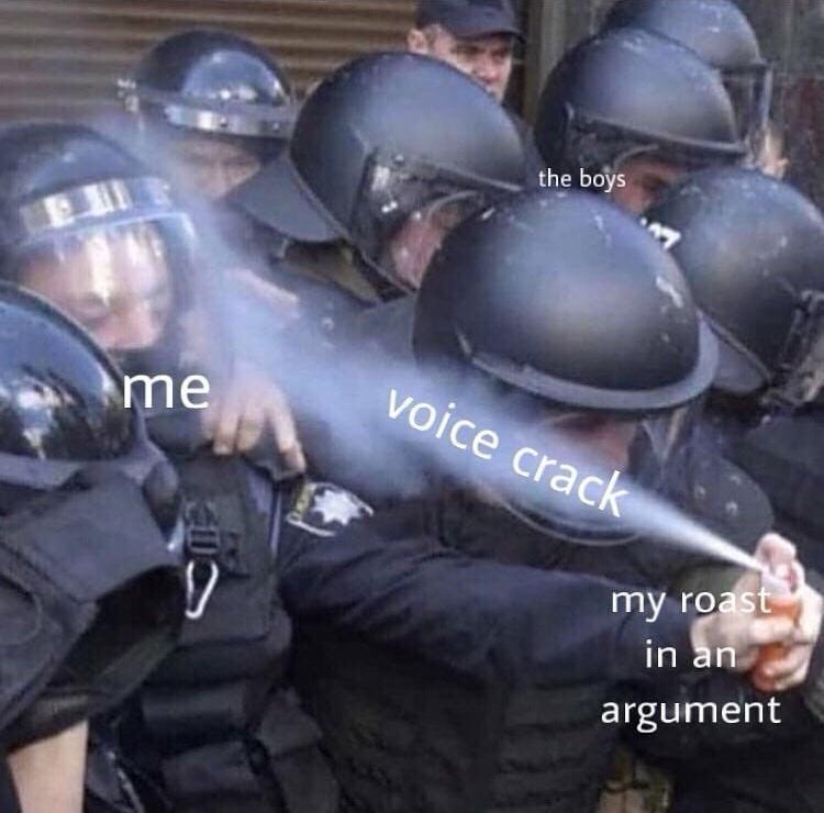 boys-400-d-voice-crack-my-roast-an-argument