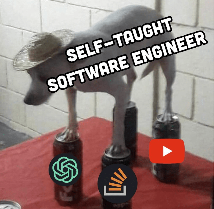 self-taught-software-engineer