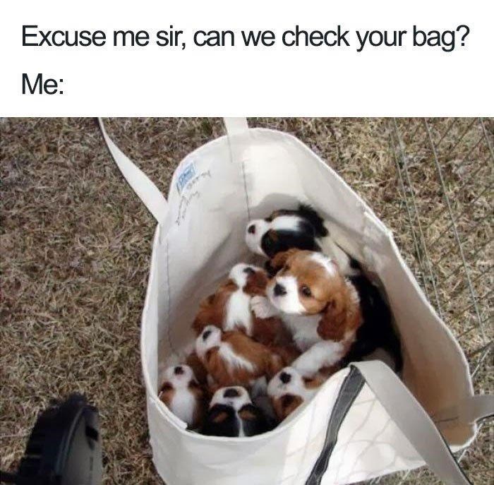 excuse-sir-can-check-bag