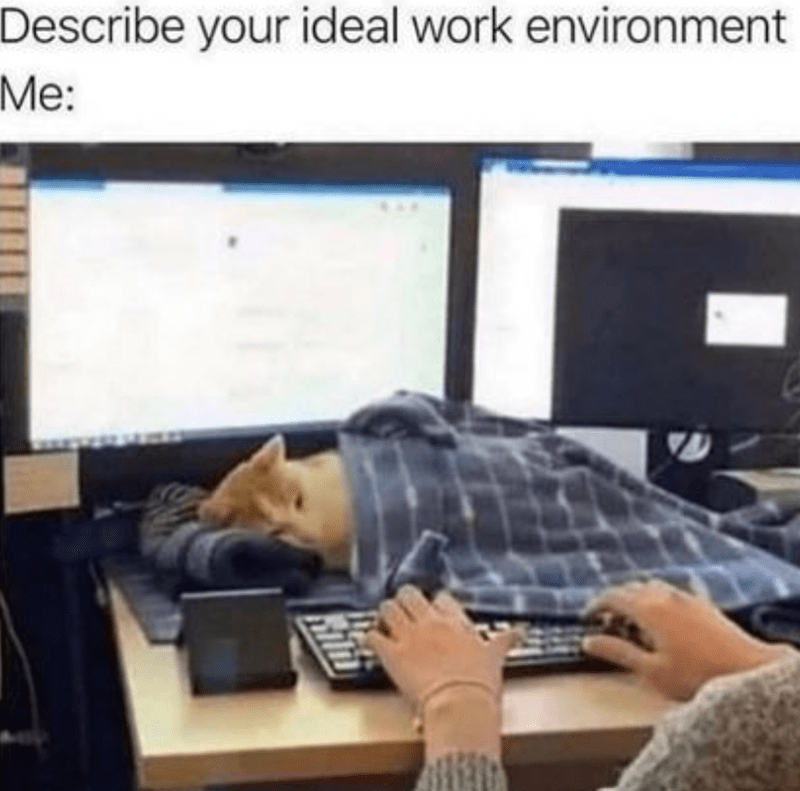 describe-ideal-work-environment