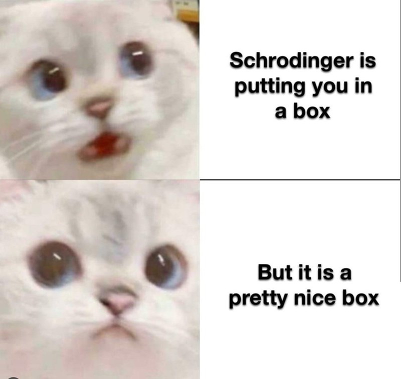 schrodinger-is-putting-box-but-is-pretty-nice-box