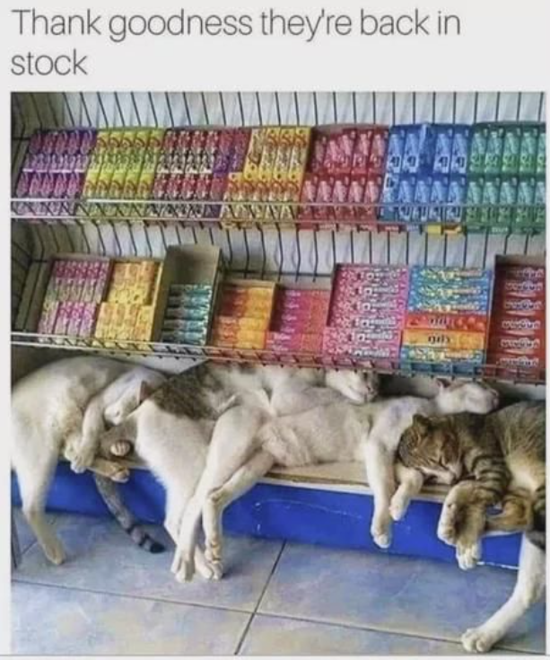 thank-goodness-theyre-back-stock-n-gily