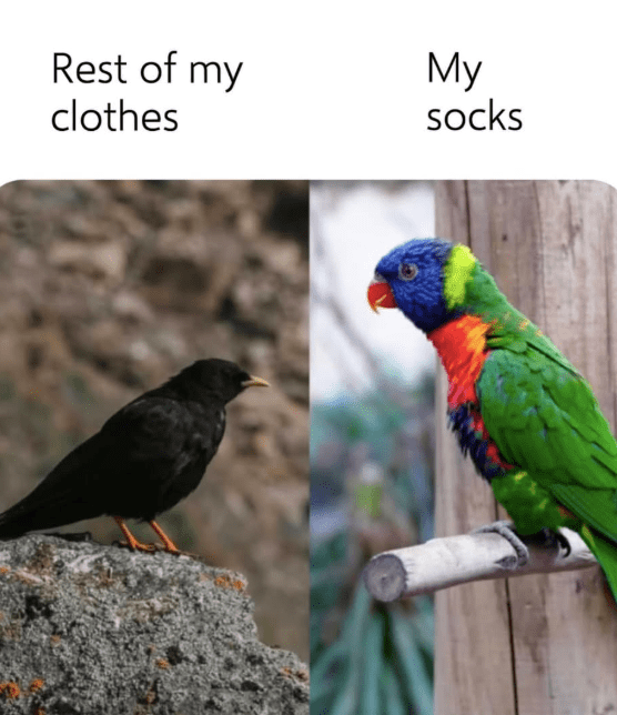 rest-my-clothes-my-socks