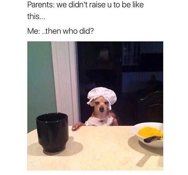parents-didnt-raise-u-be-like-this-then-who-did