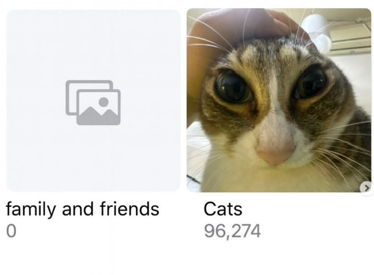 family-and-friends-0-cats-96274