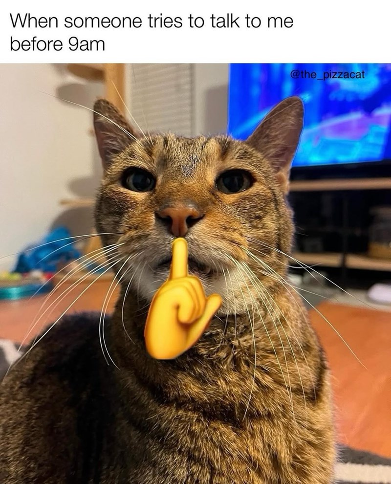 someone-tries-talk-before-9am-the_pizzacat