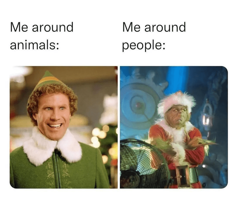 around-animals-around-people