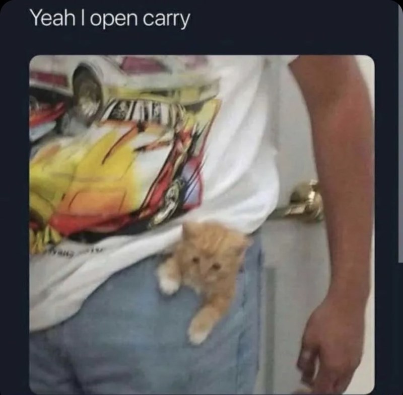 yeah-open-carry