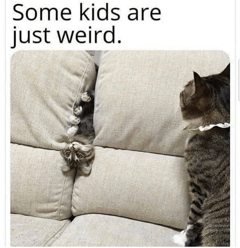some-kids-are-just-weird
