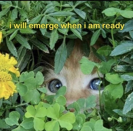 will-emerge-am-ready