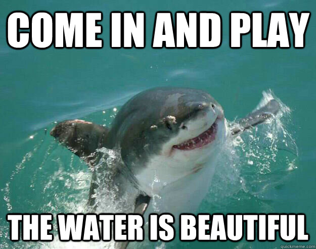 shark-meme.jpg