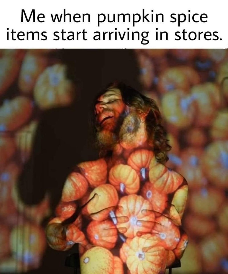 pumpkin-spice-items-start-arriving-stores