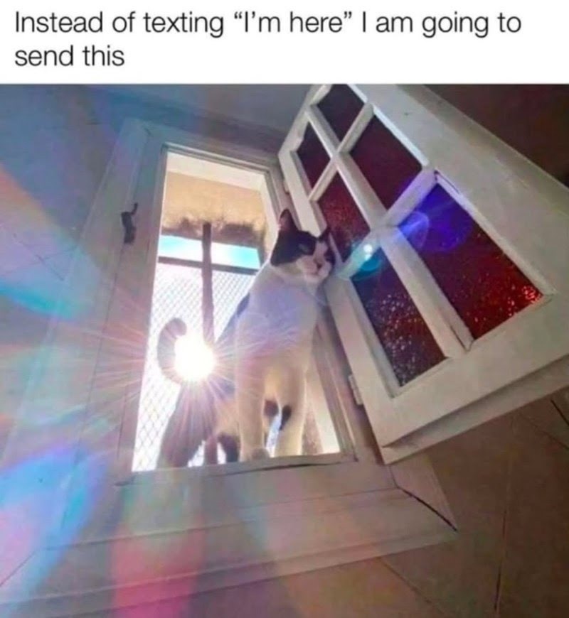 instead-texting-here-am-going-send-this