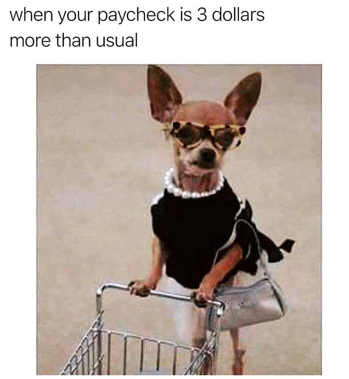 sunglasses-paycheck-is-3-dollars-more-than-usual