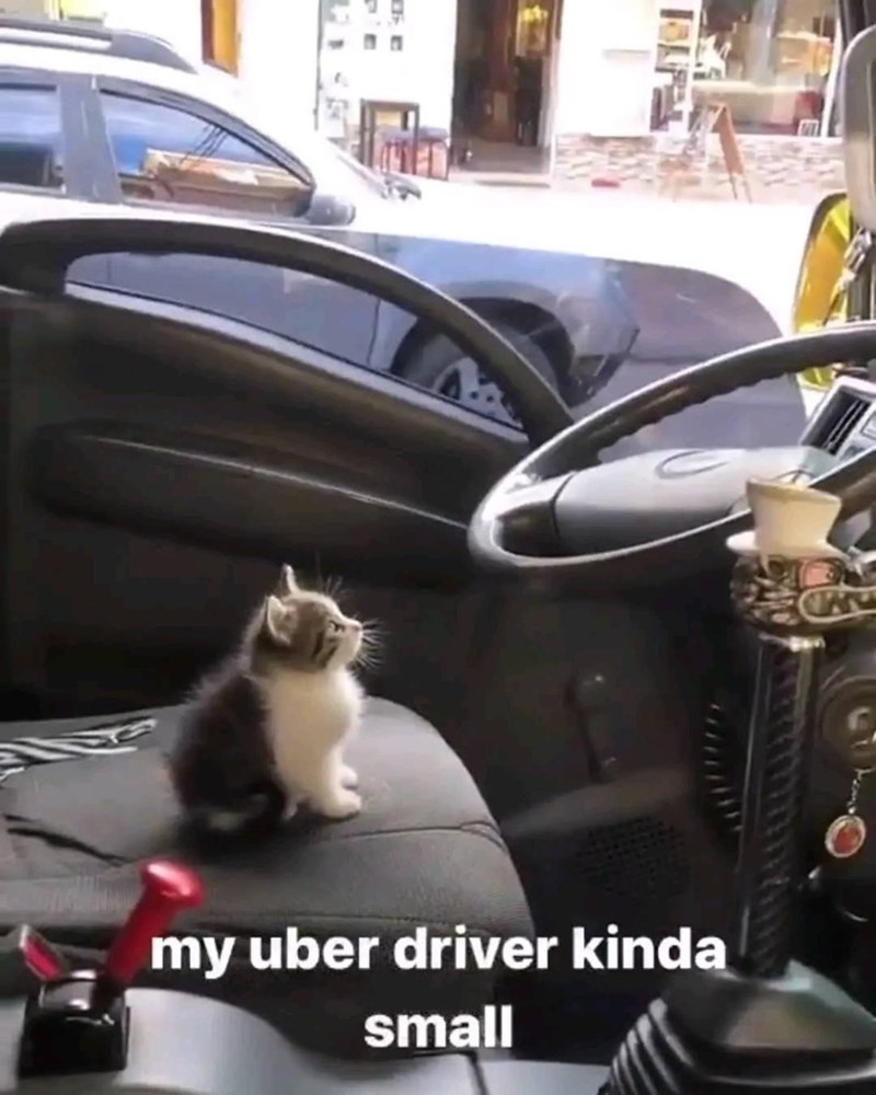 my-uber-driver-kinda-small