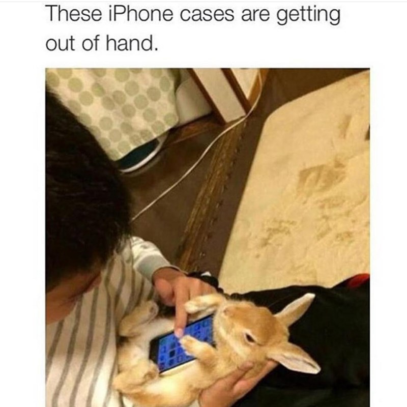 these-iphone-cases-are-getting-out-hand